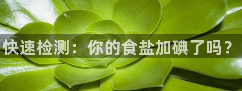 威九国际网站入口地址查询