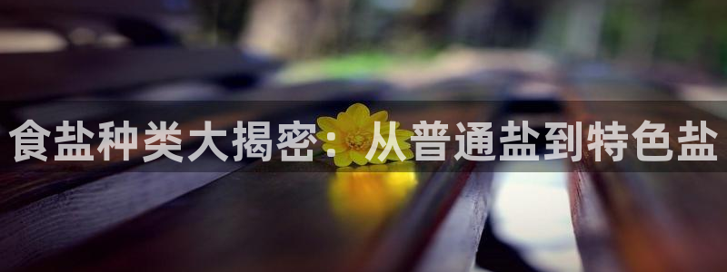 威九国际下载