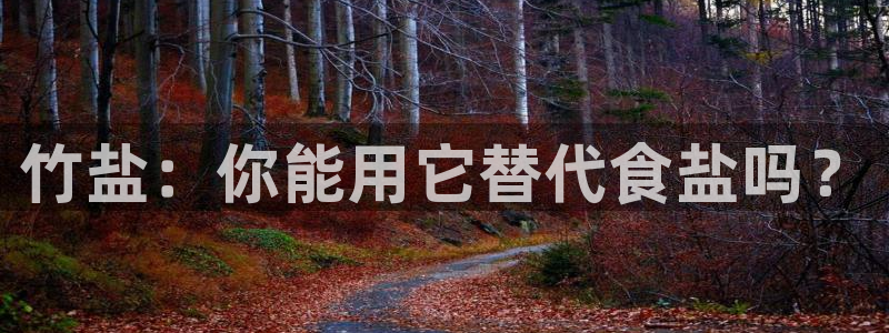 威九国际网站怎么样