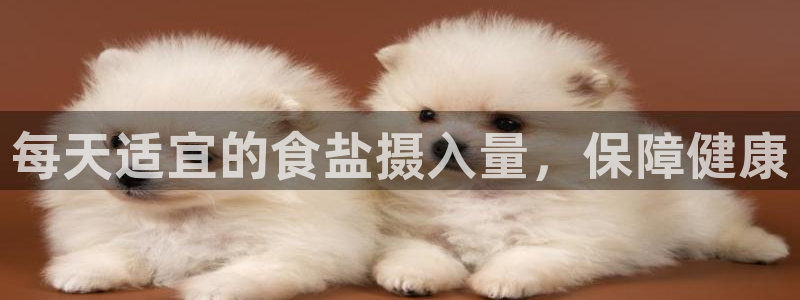 威九国际免费版