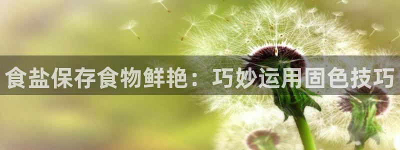 威九国际top