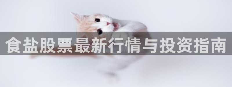 威九国际可以赚到钱