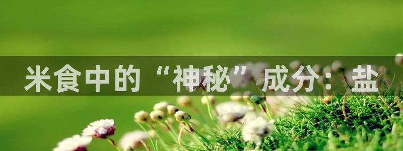 威九国际78m78下载