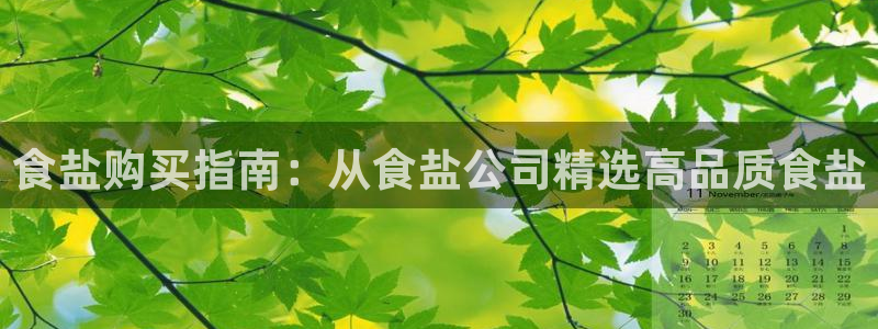 威九国际网站入口官网免费下载