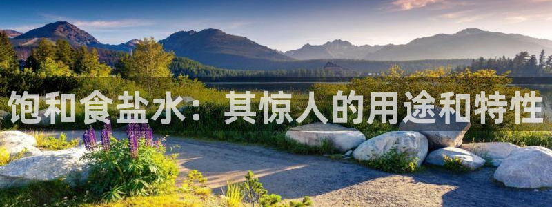 威九国际78mob游戏说明