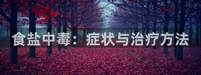 威九国际ppt免费