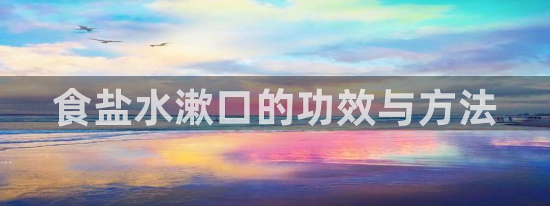 威九国际软件公司简介