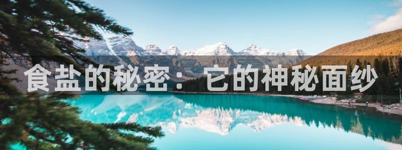 威九国际入囗