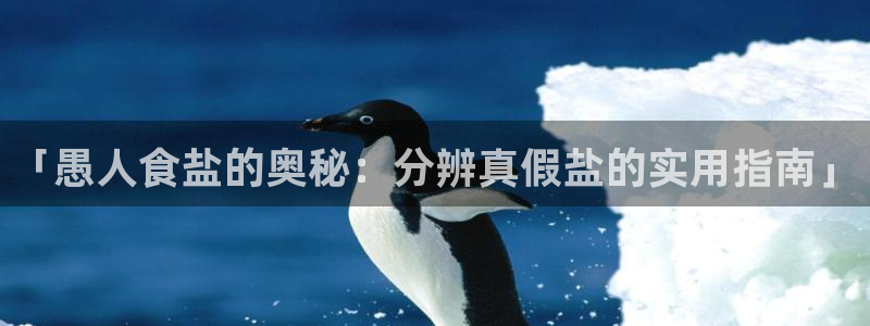 威九国际清砖码头在哪