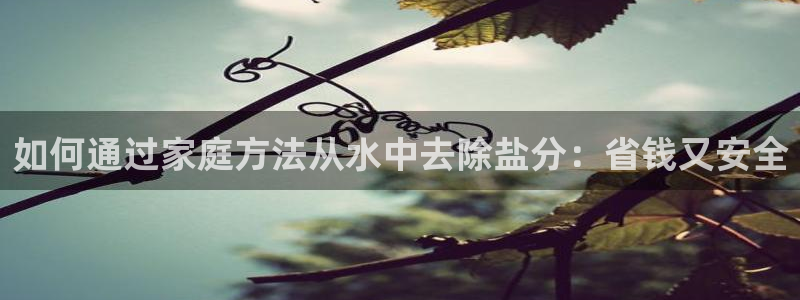 威九国际精彩推荐怎么样