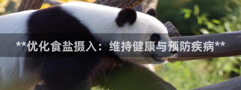 威九国际下载