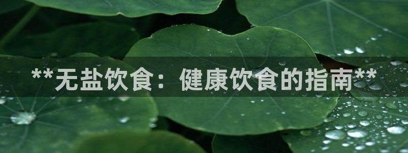 威九国际66m入口
