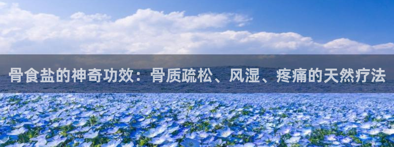 威九国际网站入口地址查询