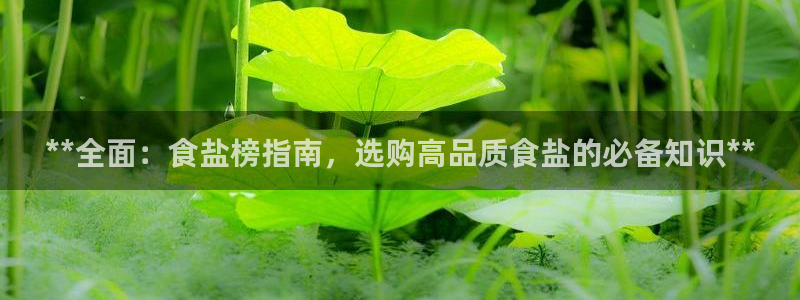威九国际电视怎么样