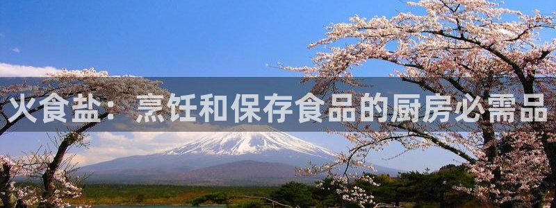 78mapp威九国际媒体央视