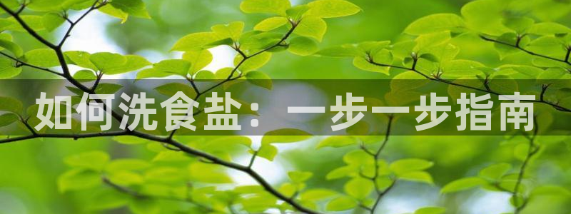 威九国际APP那个地方