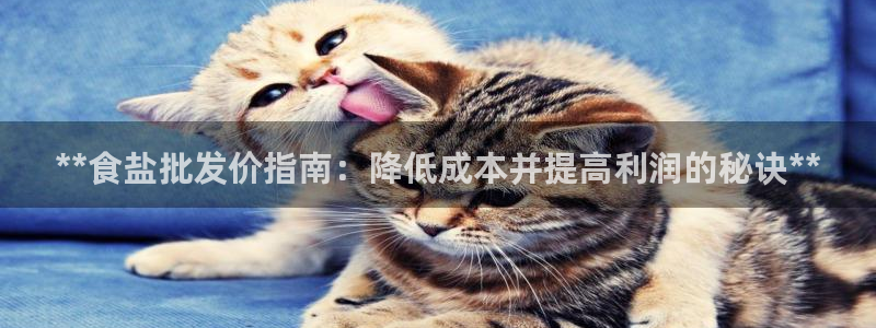 威九国际网站在哪里