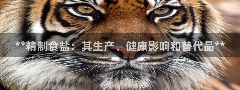 威九国际韩国