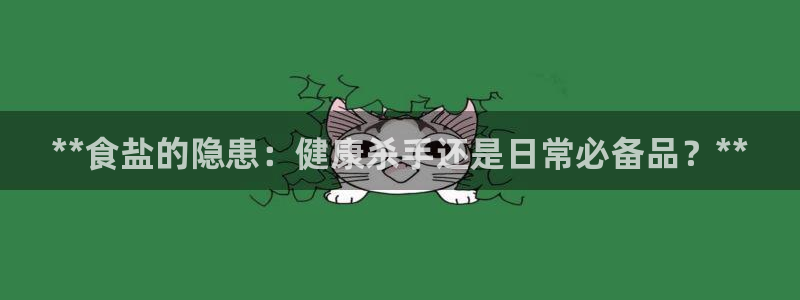 威九国际软件公司简介
