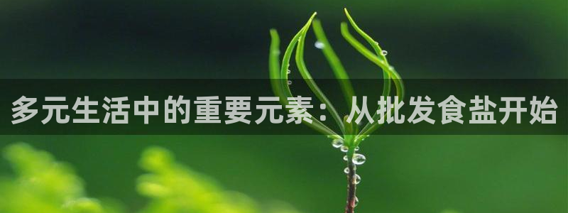 威九国际免费ppt网址