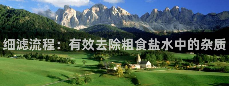 威九国际网站是多少
