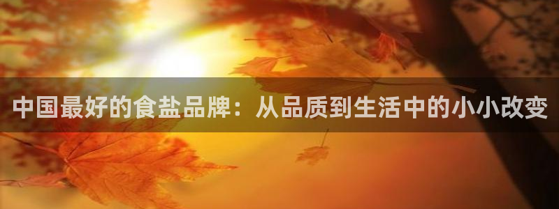 威九国际78mb特点