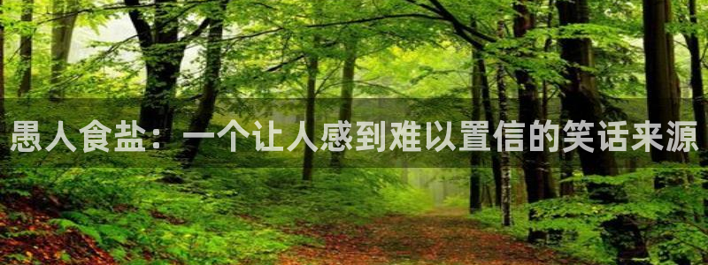 威九国际软件