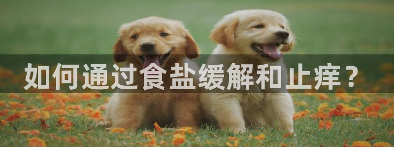 威九国际可以提现吗安全吗
