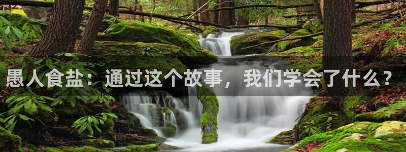 威九国际成长模式