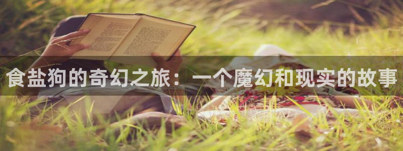 威九国际网站进入(中国)有限公司-官网