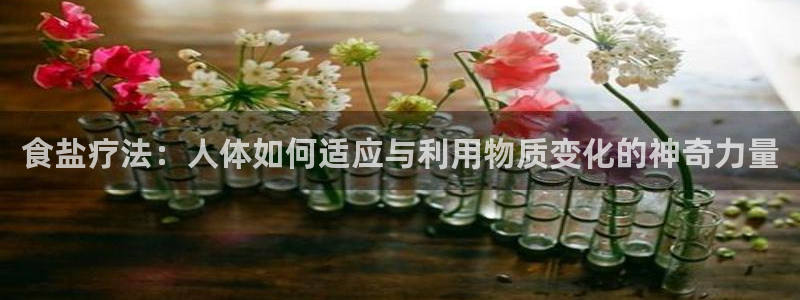 威九国际取款