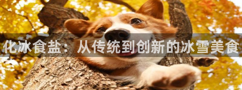 威九国际APP客服