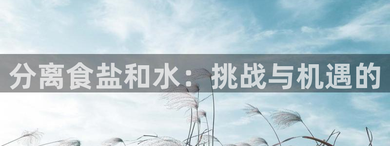 威九国际小说