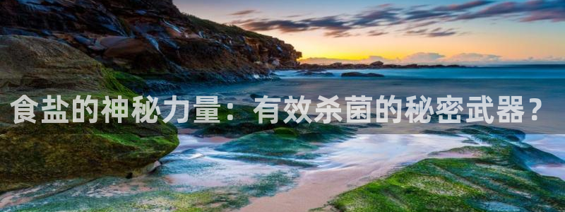 威九国际网站进入(中国)有限公司-官网