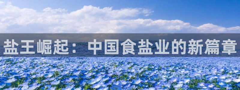 威九国际服
