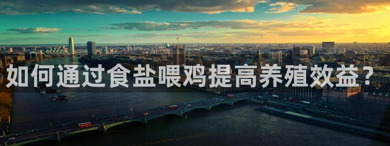 威九国际合作伙伴有哪些