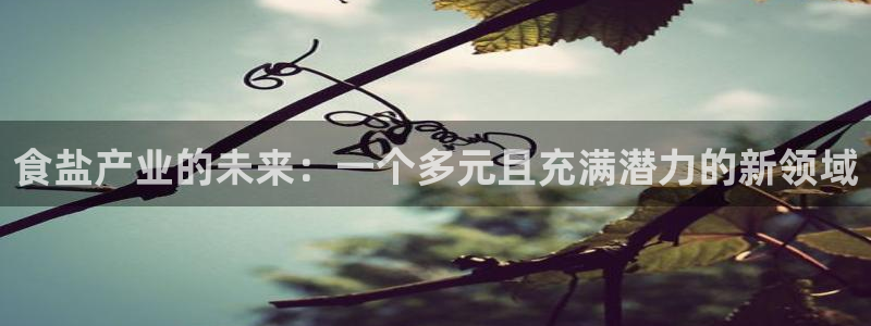 威九国际的女主