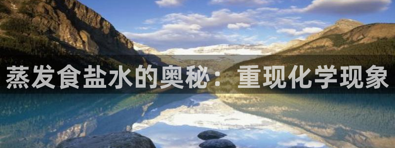威九国际网站入囗