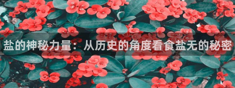 威九国际免费进入