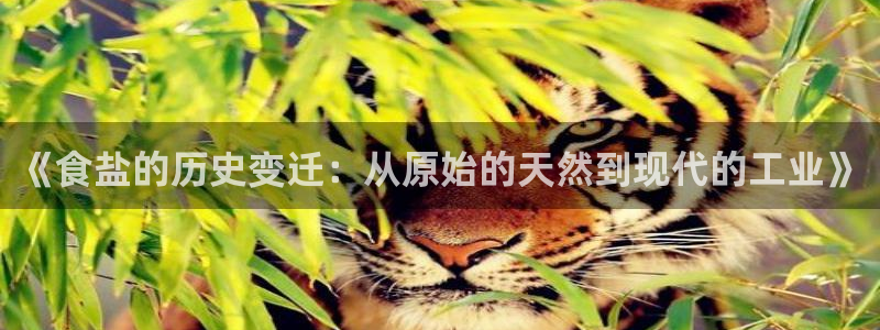 威九国际78mob游戏说明